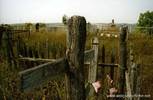 с. Гречихино (бывшая немецкая колония Вальтер) Жирновского района Волгоградской области.Фото 2006 г.Кое-где ещё сохранились старые могилы.