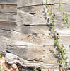 Бывшая лютеранская церковь в п. Подчинный (Кратцке).Фрагмент связки брусьев стен алтарной части церкви.